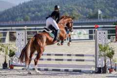 IMG-20241022-WA00111