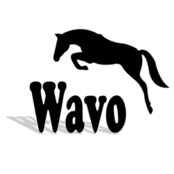 WAVO HORSES